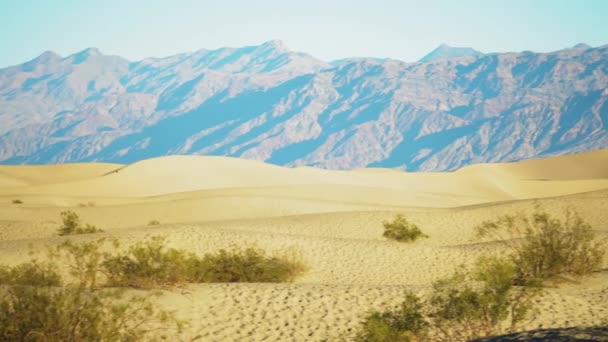 Mesquite Flat Sand Dunes Hot Sunny Day Inglês Pan Direita — Vídeo de Stock