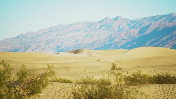 Rolling Desert Dunas Mesquite Com Arbustos Montanhas Distantes Distância Pan — Vídeo de Stock