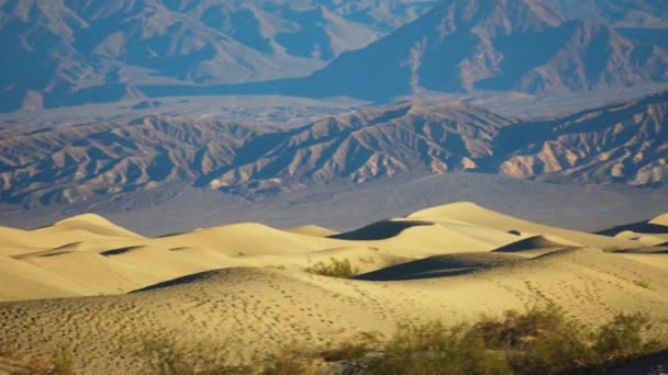 Rolling Mesquite Sand Dunes Mountains Distant Background Pan Direita — Vídeo de Stock