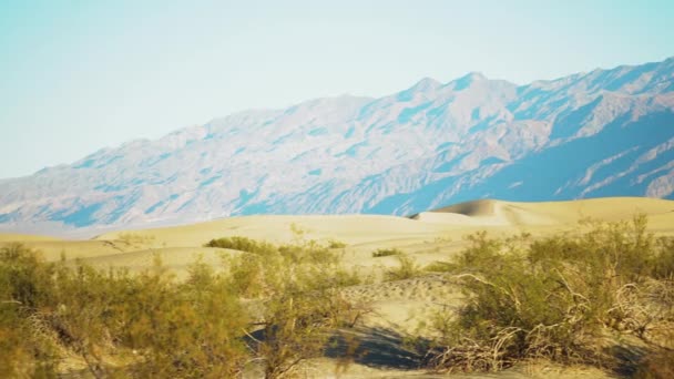 Роллинг Пустынных Дюн Долине Смерти Кустарниками Далекими Горами Вдали Pan — стоковое видео