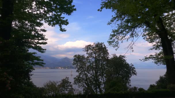 ヴィラ パラヴィチーノから見たイタリアのMaggiore湖を航海する小さなボートの姿 静的な眺め — ストック動画
