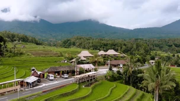 Bali Volkanı Jatiluwih Pirinç Tarlaları — Stok video