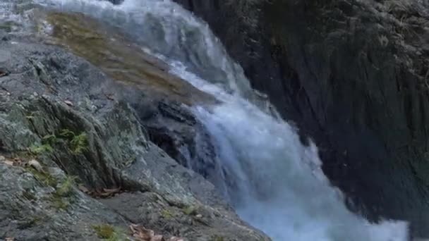Mały Wodospad Wpływający Naturalnego Rockpool Crystal Cascades Cairns Qld Australia — Wideo stockowe