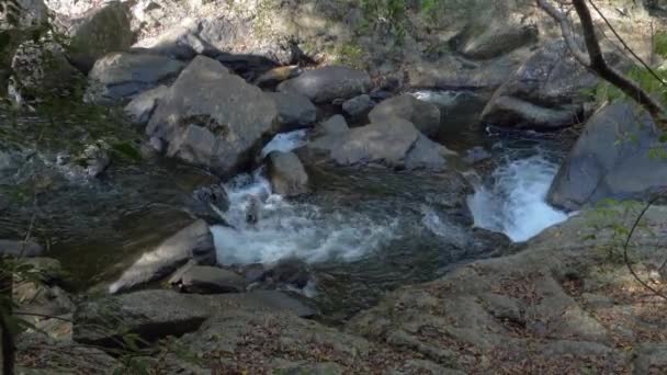 Stroomafwaarts Van Crystal Cascades Buurt Van Cairns Far North Queensland — Stockvideo