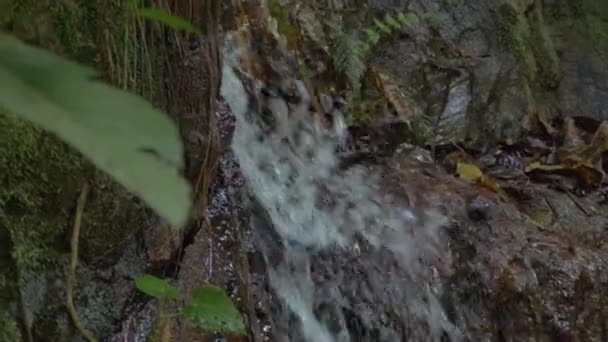 Strumień Deszczowy Rozbija Się Rocky Mountain Crystal Cascades Pobliżu Cairns — Wideo stockowe