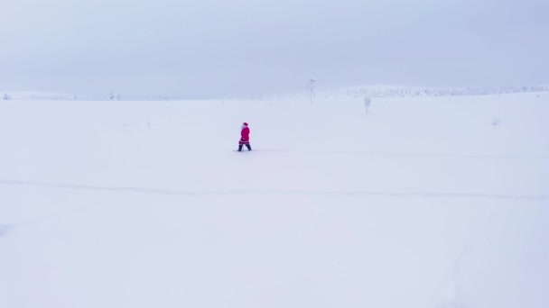 Άγιος Βασίλης Περπάτημα Ραβδί Στη Χειμερινή Έρημο Lappland Aerial Drone — Αρχείο Βίντεο