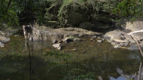 Serene Water Uit Crystal Cascades Rainforest Buurt Van Cairns Queensland — Stockvideo