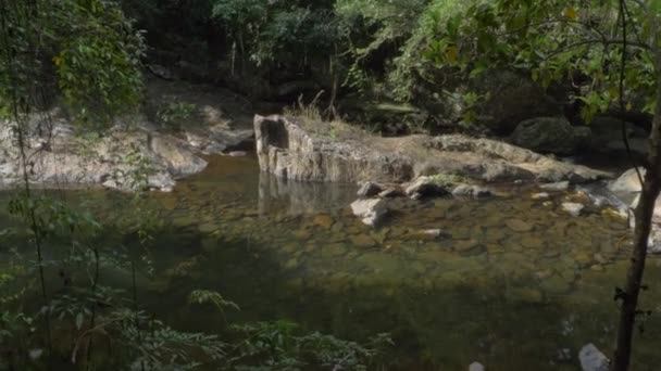 Backwater Crystal Cascades Tropical Forest Sommaren Nära Cairns Queensland Australien — Stockvideo