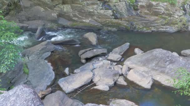 Freshwater Creek Flow Rocks Rainforest Cascades Cristal Dans Nord Queensland — Video