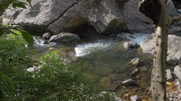Flowing Creek Rocks Stones Crystal Cascades Redlynch Queensland Australië Hoge — Stockvideo