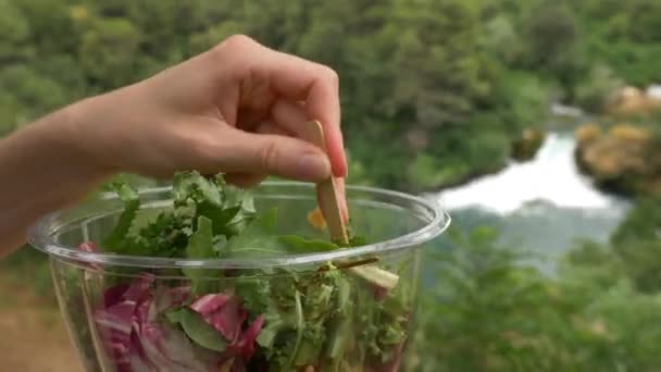 Närbild Kamera Skott Hälsosam Lunch Vattenfall Parken Vattenfall Bakgrunden Smakliga — Stockvideo