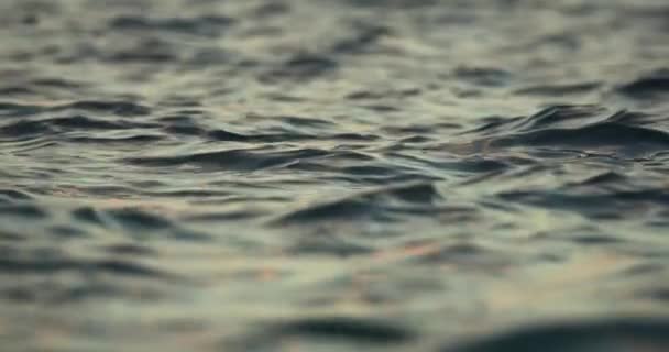 Wellige Wasseroberfläche Morgengrauen Selektiver Fokus Vollbild Zeitlupe — Stockvideo