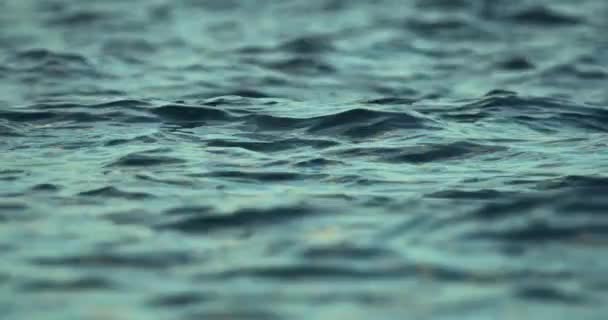 Filmische Zeitlupe Wellige Wasseroberfläche Der Dämmerung Selektiver Fokus Vollbild — Stockvideo