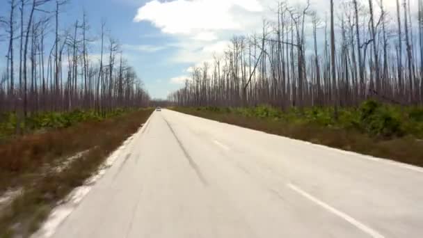 Голые Деревья Пустынные Дороги Багамах Разрушенный Пейзаж После Урагана Дориан — стоковое видео