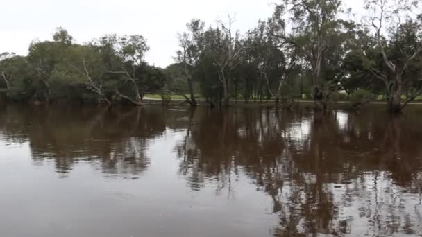 Perth Swan River Panning Right Clip Van Hoge Waterstand Winter — Stockvideo