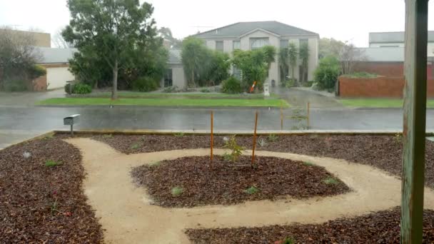 Slow Motion Heavy Hail Falls Jardim Frente Suburban Street — Vídeo de Stock