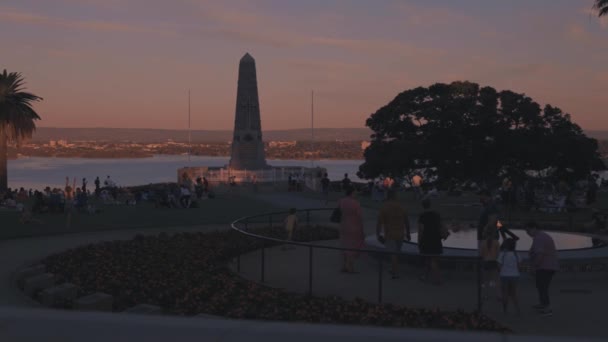 Australia Kings Park Perth Sunset — Stock Video