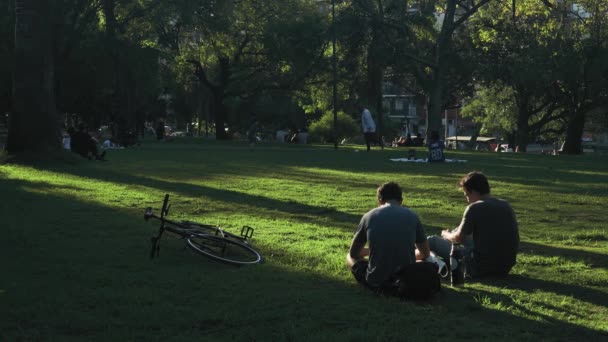 Folk Njuter Naturen Parken — Stockvideo