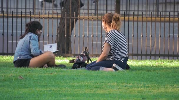 朋友们和他们的爱玩的狗在公园里玩 — 图库视频影像