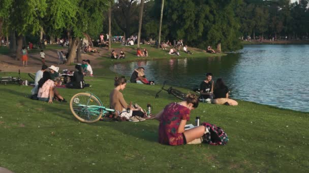 Personas Que Relajan Parque Junto Lago Hermoso Día — Vídeos de Stock