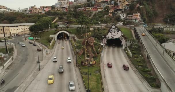 Szobrászat Mono Machin Guayaquil City Ecuador — Stock videók