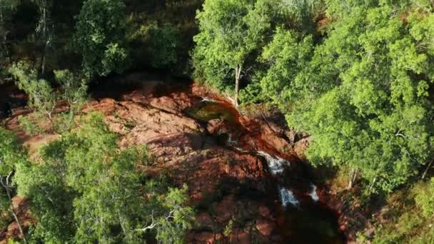 Flygfoto Över Buley Rockhole Inom Litchfield National Park Norra Territoriet — Stockvideo