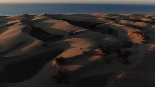 Vuelo Baja Altitud Sobre Una Playa Arena Avanzando Lentamente Hacia — Vídeos de Stock