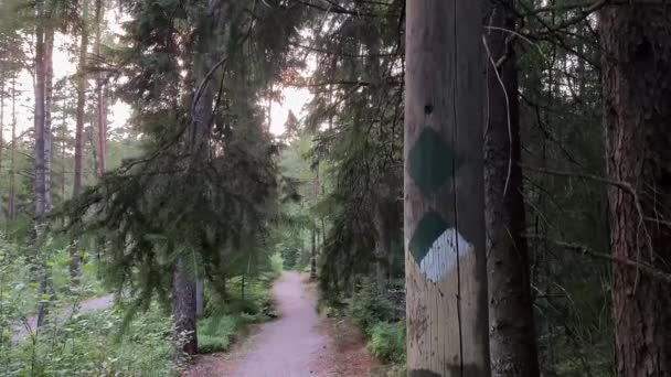 Sendero Del Bosque Señalización Parque Sueco — Vídeo de stock