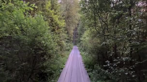 スウェーデンの湿地を通るハイキング道 — ストック動画