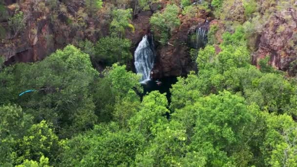 2016 Birds Eye View People Enjoying Plunge Pool Florence Falls — 비디오