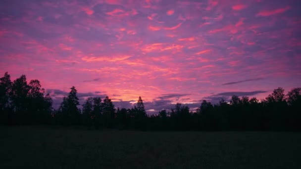 Timelapse Nascer Sol Com Cores Loucas Sobre Prado Com Uma — Vídeo de Stock