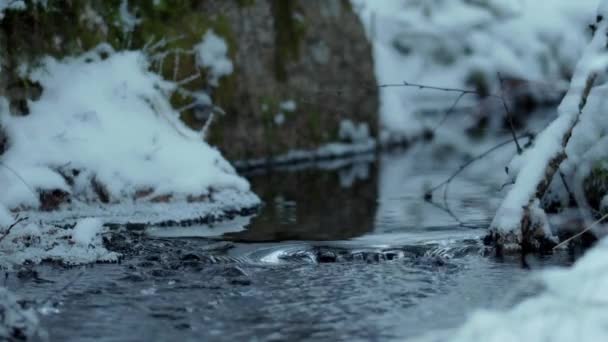 Kar Yağışlı Bir Kış Gününde Küçük Bir Derenin Makro Çekimi — Stok video