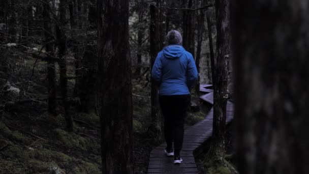 木製の板に沿って歩いて青いジャケットの女性の距離に曇りの日に鬱蒼とした 湿った雨の森の中で雑木林の中を歩く スローモーション ミディアムショット クレイドルマウンテン タスマニア オーストラリア — ストック動画
