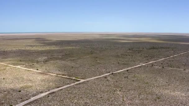 空中からの眺め 大バハマの砂漠の風景 生態系の破壊 ハリケーン ドリアンの結果 ドローンショット — ストック動画