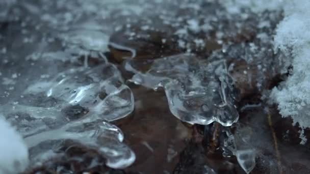 Nce Bir Buz Örtüsünün Altında Akan Minik Derenin Makro Videosu — Stok video