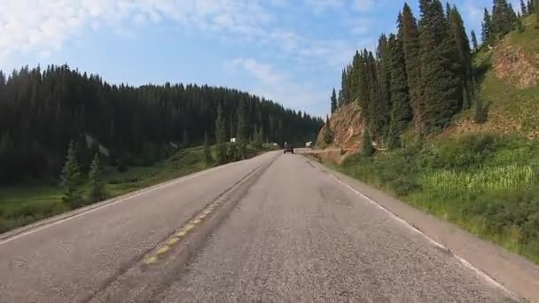 Pov 밀리언 하이웨이를 미니얼 크리크 Mineral Creek 달리는 콜로라도 콜로라도주 — 비디오