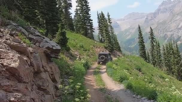 Pov Jeepie Szlaku Sidney Trail Stromym Zboczu Alpejskiej Łąki Wysoko — Wideo stockowe