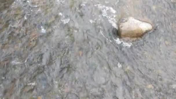 Rafters Flutuando Para Baixo Clear Creek Golden Colorado — Vídeo de Stock