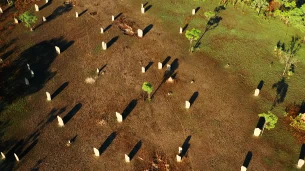 Montes Termitas Magnéticas Vasto Pastizal Dentro Del Parque Nacional Litchfield — Vídeos de Stock