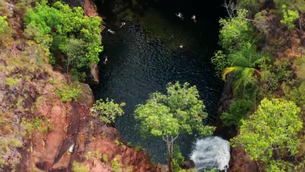 Aerial View People Swimming Stream Florence Falls High Gorge Litchfield — Stock Video