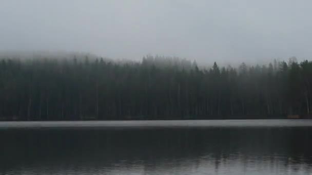Lapso Tempo Névoa Flutuando Nas Copas Das Árvores Cenário Lago — Vídeo de Stock