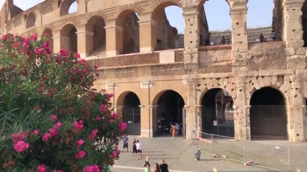 Colosseum Vagy Colosseo Buktatója Colosseum Rómában Olaszország — Stock videók