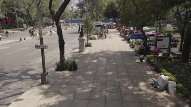 Muñeca Gran Angular Aérea Paseo Lado Calle Reforma Día — Vídeo de stock