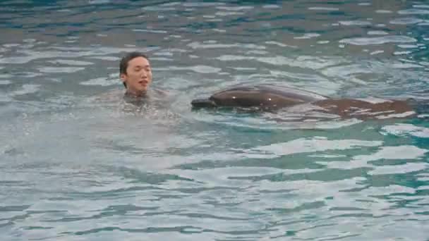 Dolphin Trainer Pescado Como Regalo Delfín Mostrando Trucos Acuario Umino — Vídeos de Stock