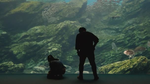 Ein Touristenpaar Beobachtet Meerestiere Beim Schwimmen Aquarium Durch Die Glaswand — Stockvideo