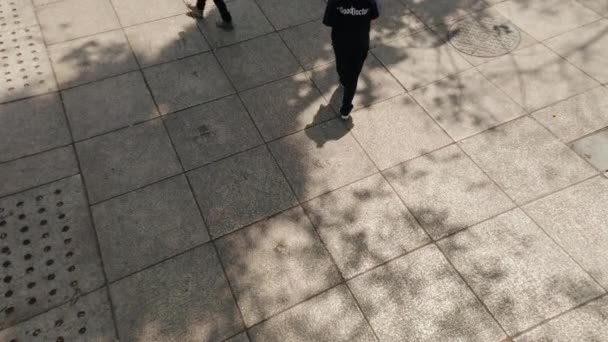Condesa Gündüz Halk Meydanında Yürüyen Insanların Havadan Alçaktan Irtifası — Stok video
