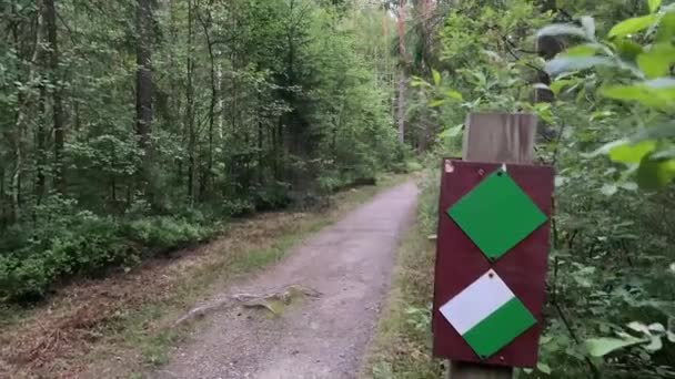 Signage Forest Path Swedish Park — Stock Video
