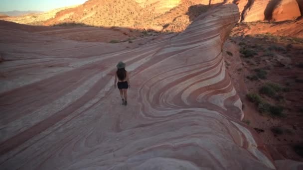 Tűz Völgye Állami Park Nevada Usa Back Young Woman Tiker — Stock videók