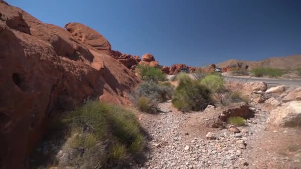 Wandern Durch Red Rock Sandstein Formationen Und Büsche Valley Fire — Stockvideo