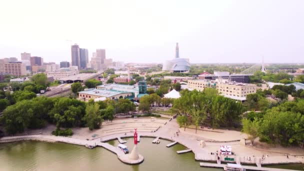 Gafflar Winnipeg Manitoba Kanada — Stockvideo